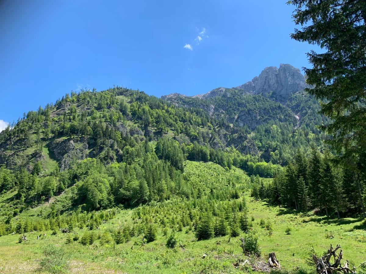 Apartment Kumitzblick Obersdorf Экстерьер фото